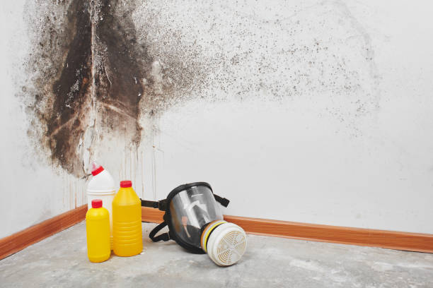Best Residential Mold Removal  in Kennedale, TX