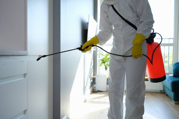 Best Certified Mold Removal  in Kennedale, TX