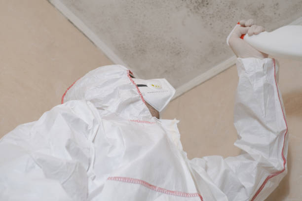 Office Mold Removal Services in Kennedale, TX