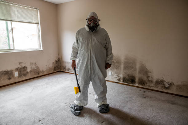 Best Toxic Mold Removal  in Kennedale, TX